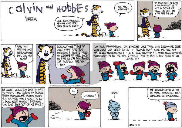 Calvin and Hobbes - Sunday December 29, 2019 Comic Strip