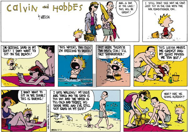 Calvin and Hobbes - Sunday July 23, 1989 Comic Strip
