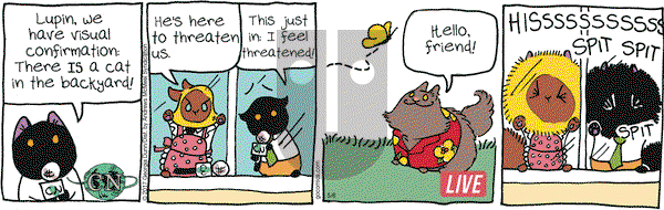 Breaking Cat News on Saturday May 6, 2017 Comic Strip