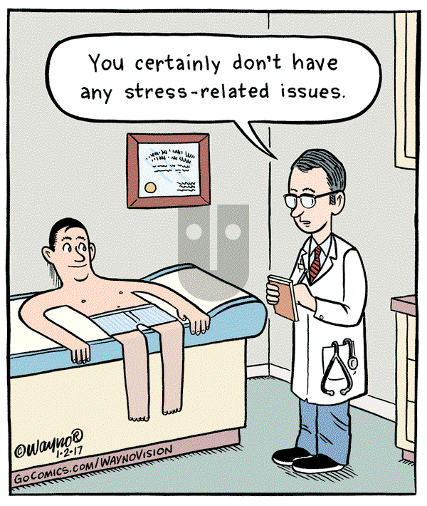 WaynoVision - Monday January 2, 2017 Comic Strip