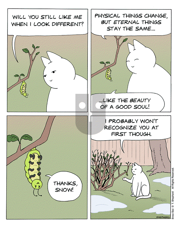 Snow Sez on Monday March 10, 2025 Comic Strip