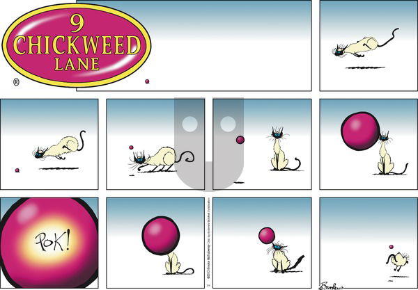 9 Chickweed Lane on Sunday February 4, 2018 Comic Strip