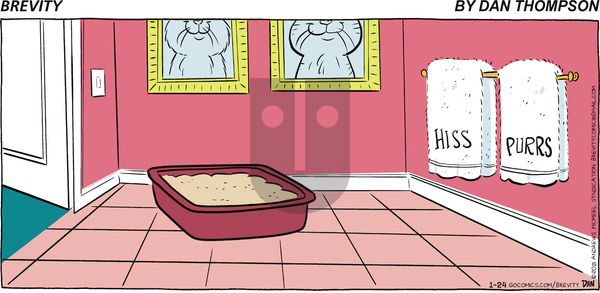 Brevity on Sunday January 24, 2021 Comic Strip