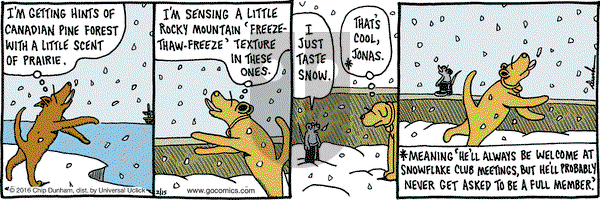 Overboard on Monday February 15, 2016 Comic Strip