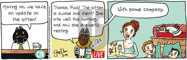 Breaking Cat News on Tuesday February 19, 2019 Comic Strip
