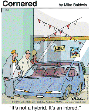 Cornered on Saturday October 5, 2019 Comic Strip