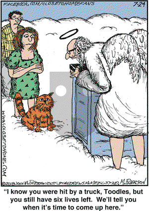 Close to Home on Tuesday July 24, 2018 Comic Strip