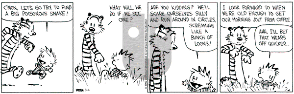 Calvin and Hobbes - Thursday August 4, 2022 Comic Strip