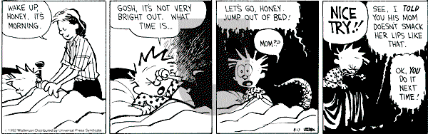 Calvin and Hobbes - Monday August 17, 1992 Comic Strip
