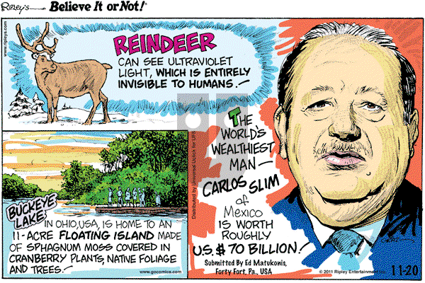 Ripley's Believe It or Not on Sunday November 20, 2011 Comic Strip