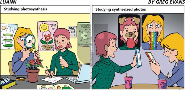 Luann on Sunday December 3, 2017 Comic Strip