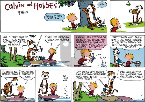 Calvin and Hobbes on Sunday July 28, 1991 Comic Strip