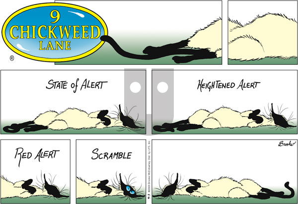 9 Chickweed Lane on Sunday September 3, 2006 Comic Strip
