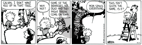 Calvin and Hobbes on Friday November 1, 1991 Comic Strip