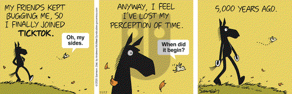 Dark Side of the Horse on Monday November 17, 2025 Comic Strip