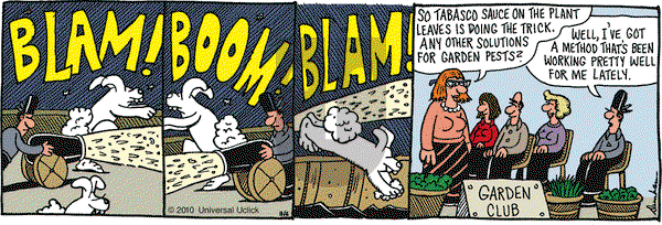 Overboard on Friday August 6, 2010 Comic Strip