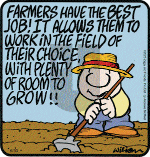 Ziggy on Monday June 30, 2025 Comic Strip