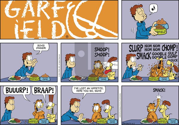 Garfield - Sunday June 2, 2024 Comic Strip