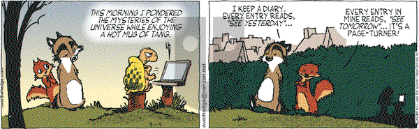 Over the Hedge on Wednesday March 4, 2009 Comic Strip