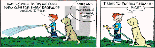 Red and Rover on Saturday June 5, 2010 Comic Strip