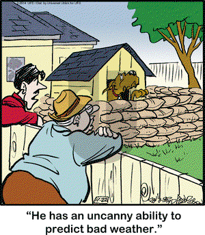 Marmaduke on Saturday November 22, 2014 Comic Strip