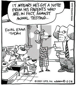 Reality Check on Thursday May 24, 2001 Comic Strip