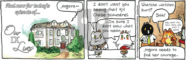 Breaking Cat News on Monday January 21, 2019 Comic Strip
