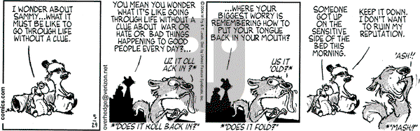 Over the Hedge on Saturday May 29, 2004 Comic Strip