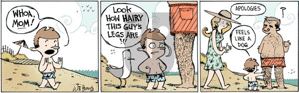Wallace the Brave on Monday June 26, 2017 Comic Strip