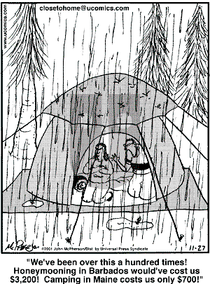 Close to Home - Tuesday November 27, 2001 Comic Strip
