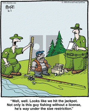 In the Bleachers on Tuesday June 1, 1999 Comic Strip