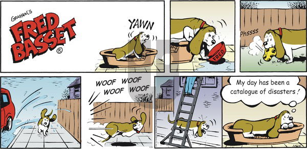 Fred Basset on Sunday May 30, 2021 Comic Strip