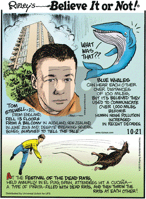 Ripley's Believe It or Not on Monday October 21, 2013 Comic Strip