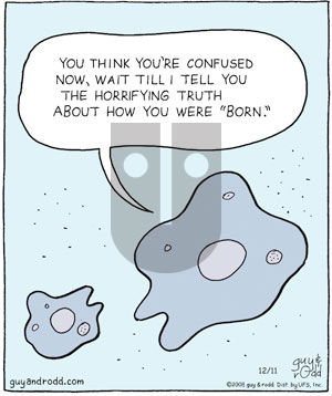 Brevity on Thursday December 11, 2008 Comic Strip