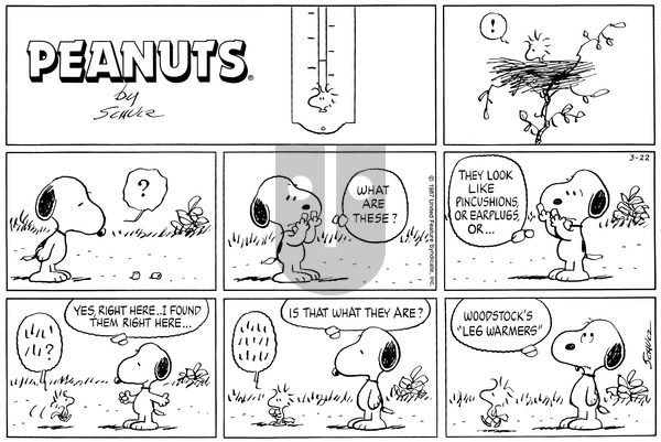 Peanuts on Sunday March 22, 1987 Comic Strip
