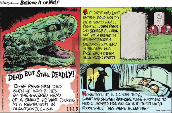 Ripley's Believe It or Not on Sunday November 13, 2016 Comic Strip