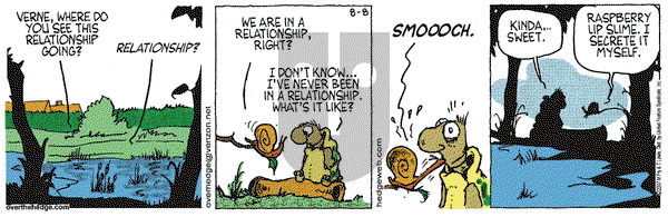 Over the Hedge on Wednesday August 8, 2007 Comic Strip