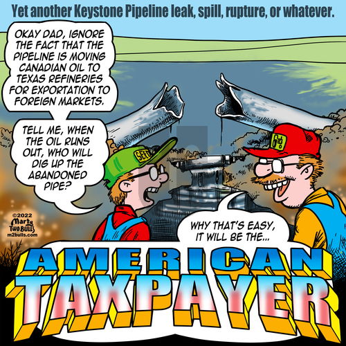 M2Bulls - Thursday December 15, 2022 Comic Strip
