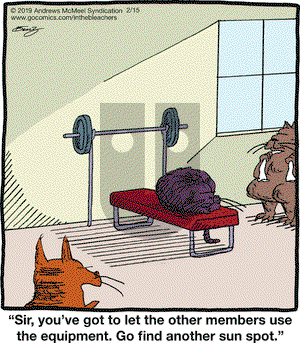 In the Bleachers on Friday February 15, 2019 Comic Strip
