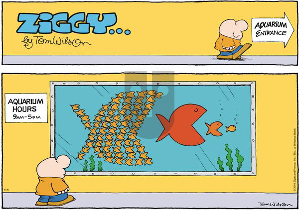 Ziggy on Sunday November 6, 2016 Comic Strip