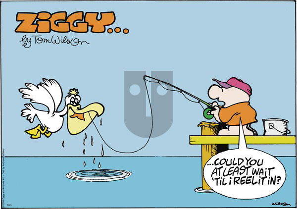 Ziggy on Sunday October 4, 2020 Comic Strip