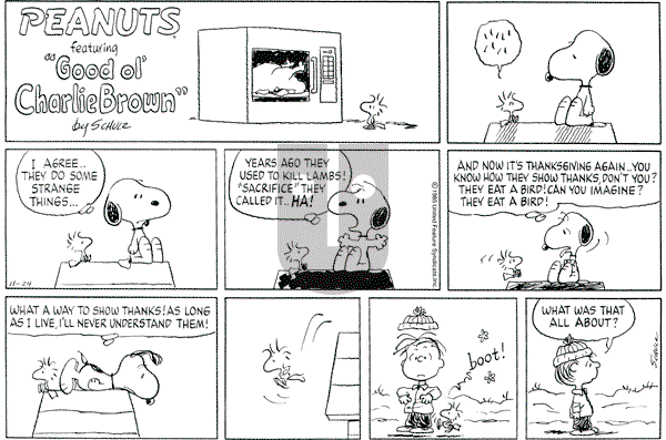Peanuts - Sunday November 24, 1985 Comic Strip