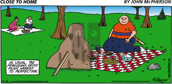 Close to Home on Friday June 1, 2001 Comic Strip