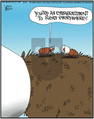 The Flying McCoys on Friday March 13, 2020 Comic Strip
