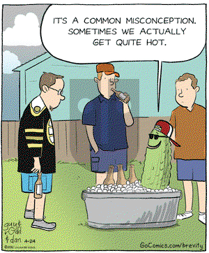 Brevity on Tuesday April 24, 2012 Comic Strip