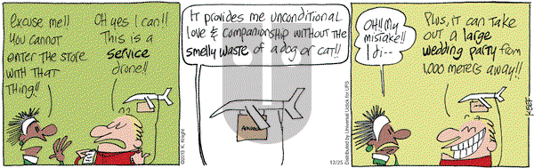 The Knight Life on Wednesday December 25, 2013 Comic Strip