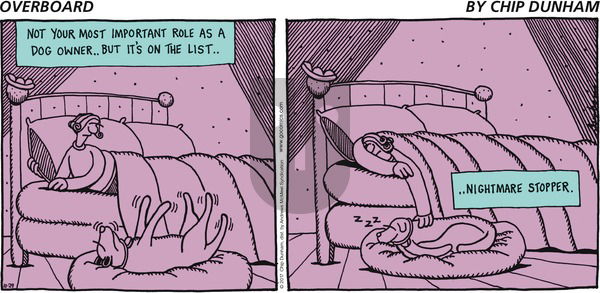 Overboard on Sunday October 29, 2017 Comic Strip