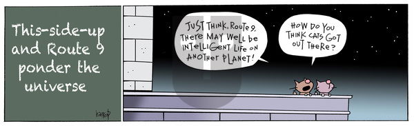 Ten Cats - Saturday October 12, 2024 Comic Strip