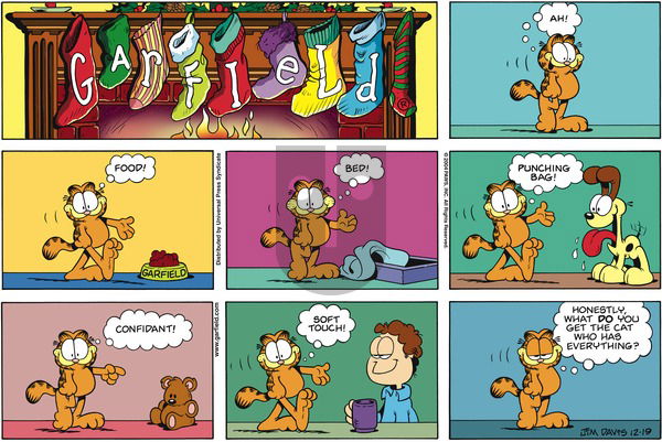 Garfield on Sunday December 19, 2004 Comic Strip