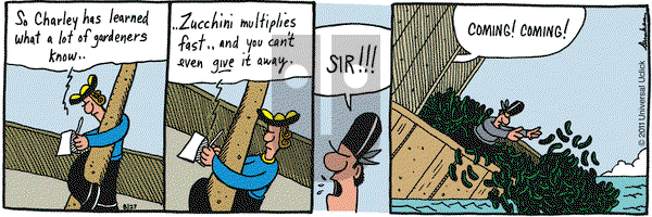Overboard on Saturday August 27, 2011 Comic Strip